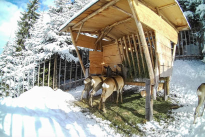 Ennstaler Wildfutter - Erfahrungsberichte